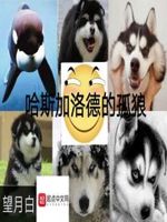 连欣香水系统欲望社