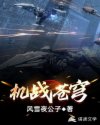 能看的女人自熨视频