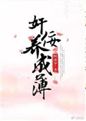 火鸟影视