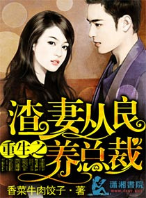高圆圆演的电视剧