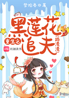 小蝴蝶vr
