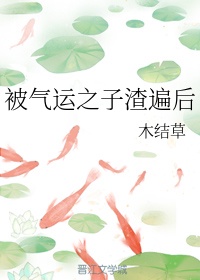 小喜小说