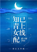 19天未删减版免费阅读完整版