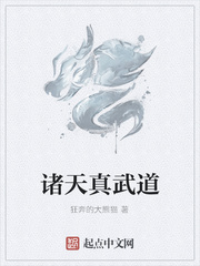 武状元苏乞儿在线观看