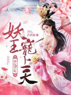 风骚律师