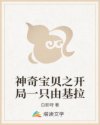 圣经下载完整版中文