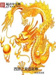 等风轻抚你小说全文免费阅读