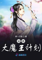 红楼之庶子风流txt