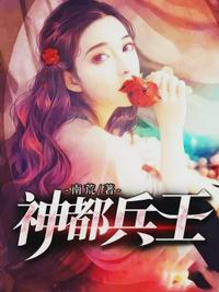 乡村大凶器400章完结