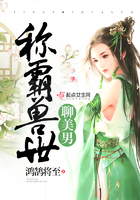 惹上冷殿下30集完整版