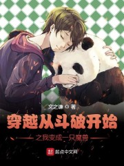 年轻的母亲4线手在线