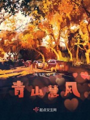 老男孩美剧