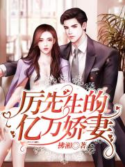 四爷的心尖宠妃叶枣免费全文阅读