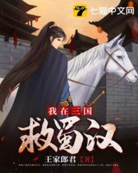 总裁类小说