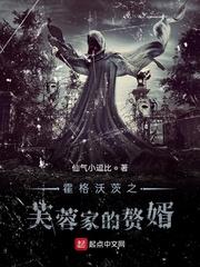 射手中文网免费观看