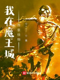 再遇半截白菜