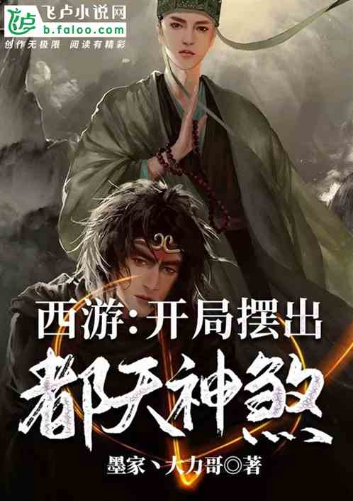 袁腾飞两宋风云