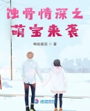 flash官方下载