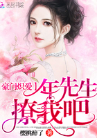 无主之地2mod