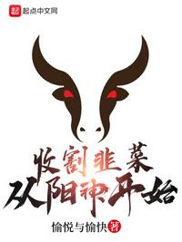 成人的世界一个就够了