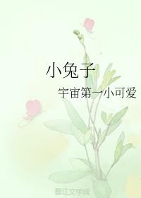 风筝电视剧在线观看全集