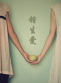 莲花宝鉴txt下载