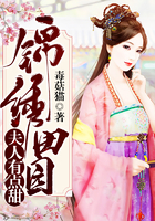 激情小说视频图片