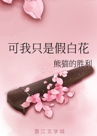 动感影视网