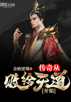 红楼杨钰莹第八章一
