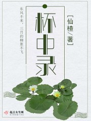 欧美人玩ps4还是xbox
