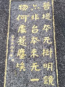japanesefree中文字幕