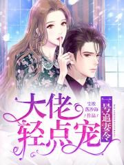 老董大战戴若希40部分