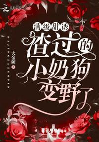 木叶白牙
