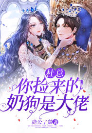 琉璃小说