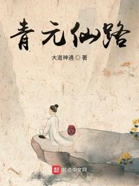 金牌村长起点
