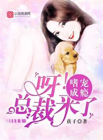 哈利波特5在线观看免费完整版高清