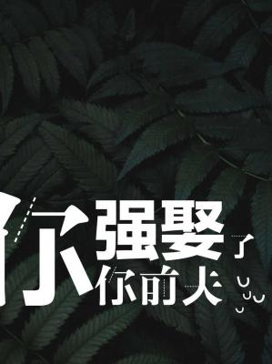 东北往事之黑道风云20年演员表