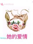 大宋奇案