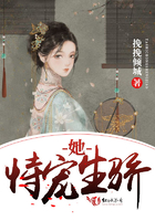 欧美阿v在线手机免费观看