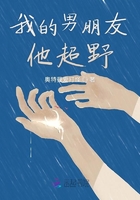 阳光正好小说全集