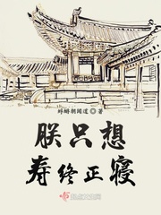 日本gv公司