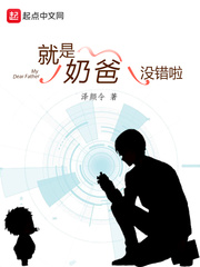 完美的妻子