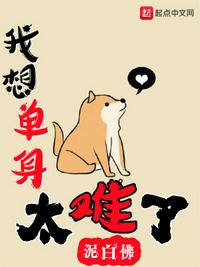 我的校花娇妻叶子全集