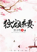 女人的理由3中国字屏幕