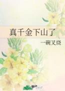 橙子直播盒子