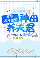 夫妻性生活全过程