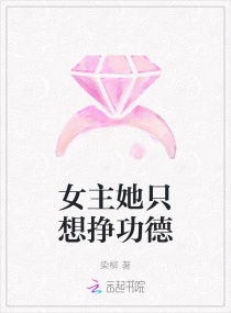 锅炉房的系花全文阅读