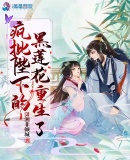 默读txt