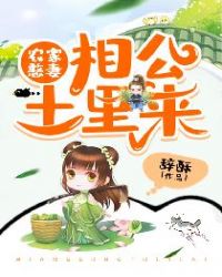 夜月app直播
