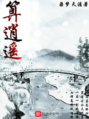 疯狂的寡妇小说